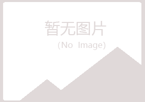 鹤壁山城错过会计有限公司